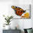 Wings I-Gallery Wrapped Canvas-1629239701