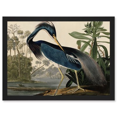 Birds Louisiana Blue Heron by John James Audubon - Single Picture Frame Painting