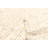 Sienna Tan Rug 4'11" x 8'2"