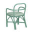 Chaise en rotin vert-2021978289