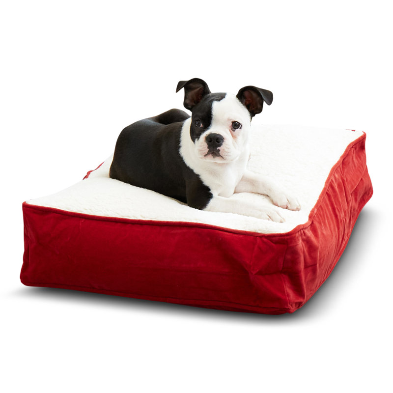 Lit pour chien Olivarez Classic, Très petit (L 24 po x l 18 po x H 5 po), Cramoisi