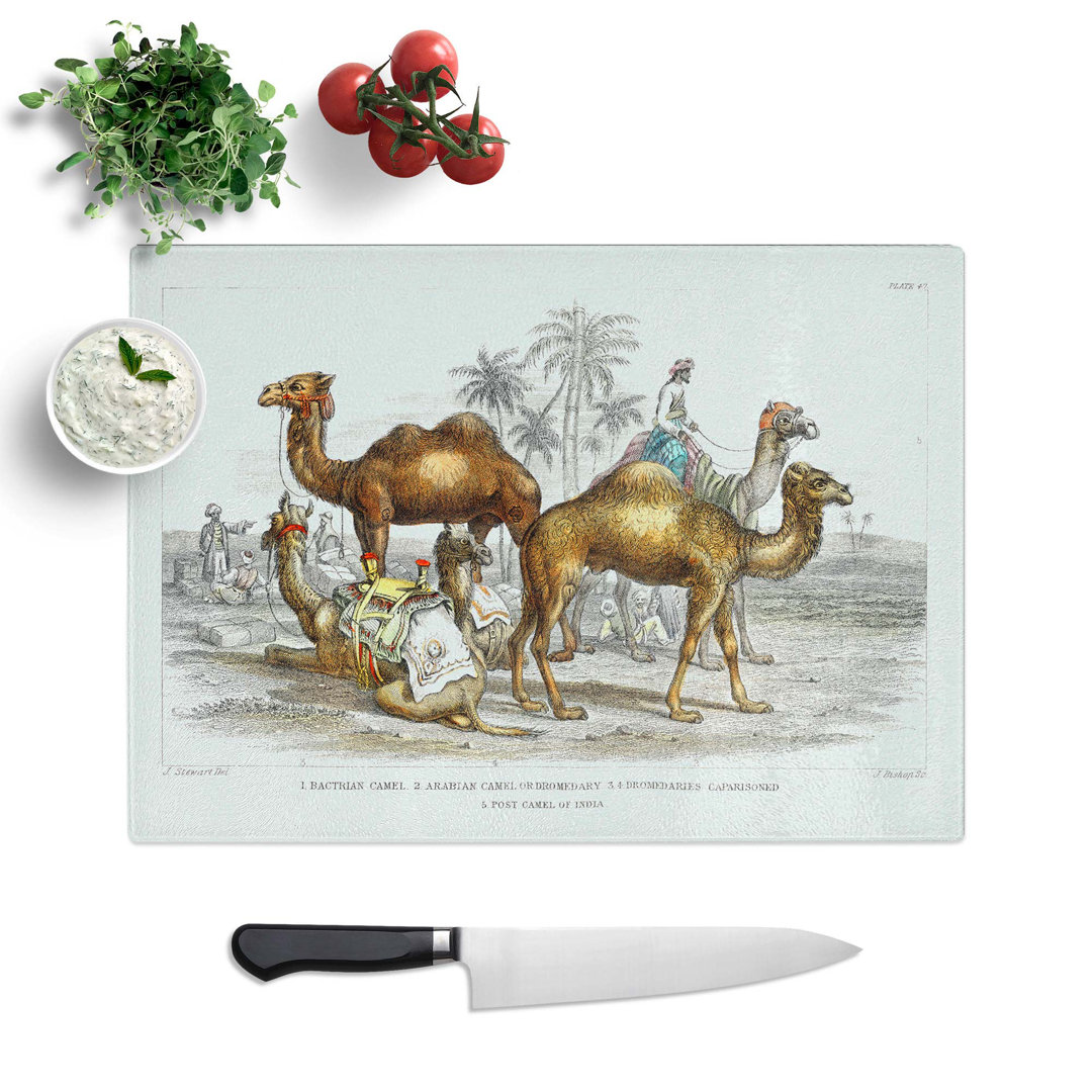 Tempered Glass Camels Chopping Board
