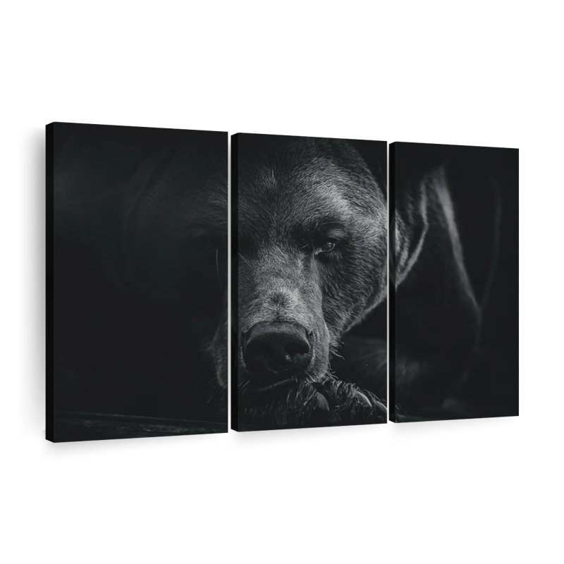 Ours brun monochrome sur toile 3 pièces, H 24 po x l 38 po x P 1,25 po