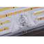 20/40/60 Watt LED Cutoff Wall Pack 3K/4K/5K CCT Field Selectable Bronze 120-347 Volt