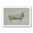 White Framed Paper Print
