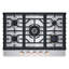 30" Natural Gas Cooktop with 5 Burners-100170008