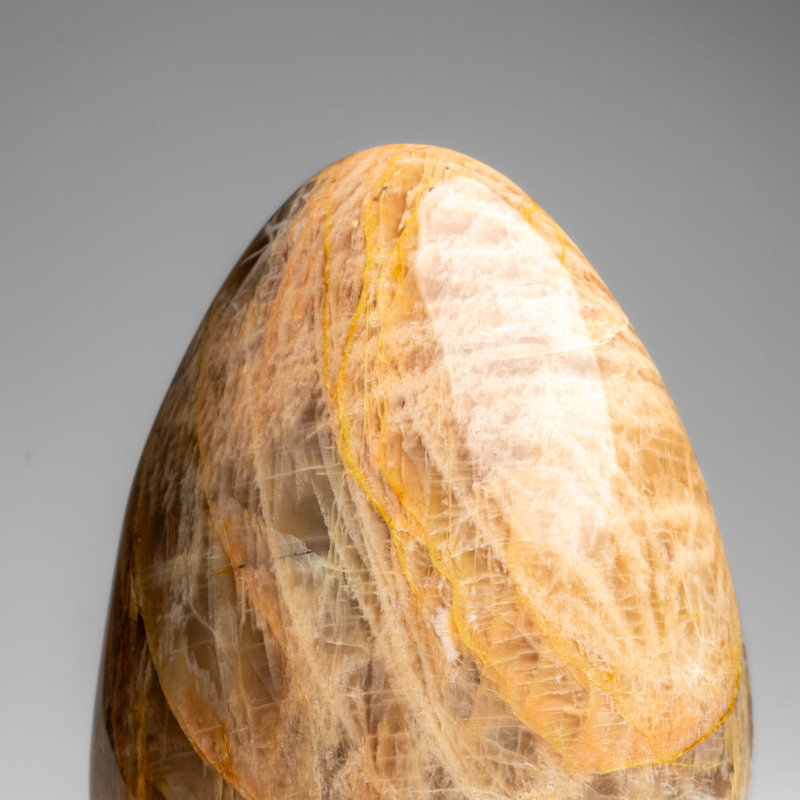Véritable forme de pierre de lune pêche polie de Madagascar (3,6 lb)