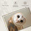 Hibou Brampt-107679675