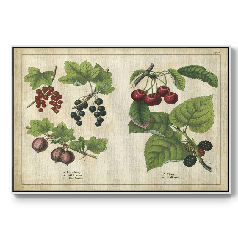 «Kitchen Fruits III», reproduction sur toile encadrée, H 25 po x l 37 po x P 2 po, Blanc