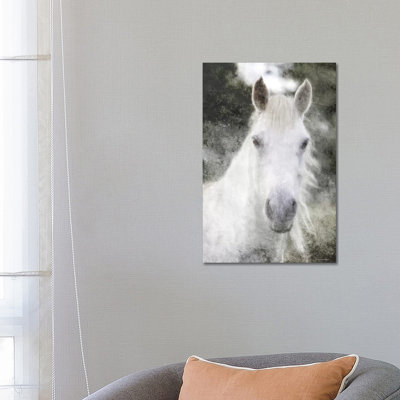 White Horse Mystique by Bluebird Barn - Wrapped Canvas Print