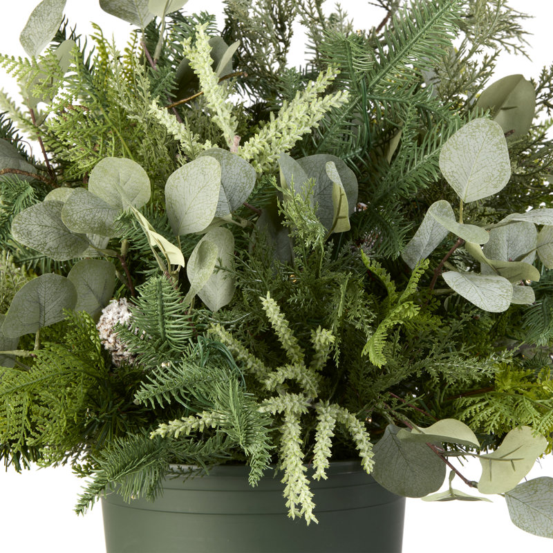 Eucalyptus Arrangement in Vase