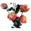 Plastic, Silk Artificial Arrangement-88685022