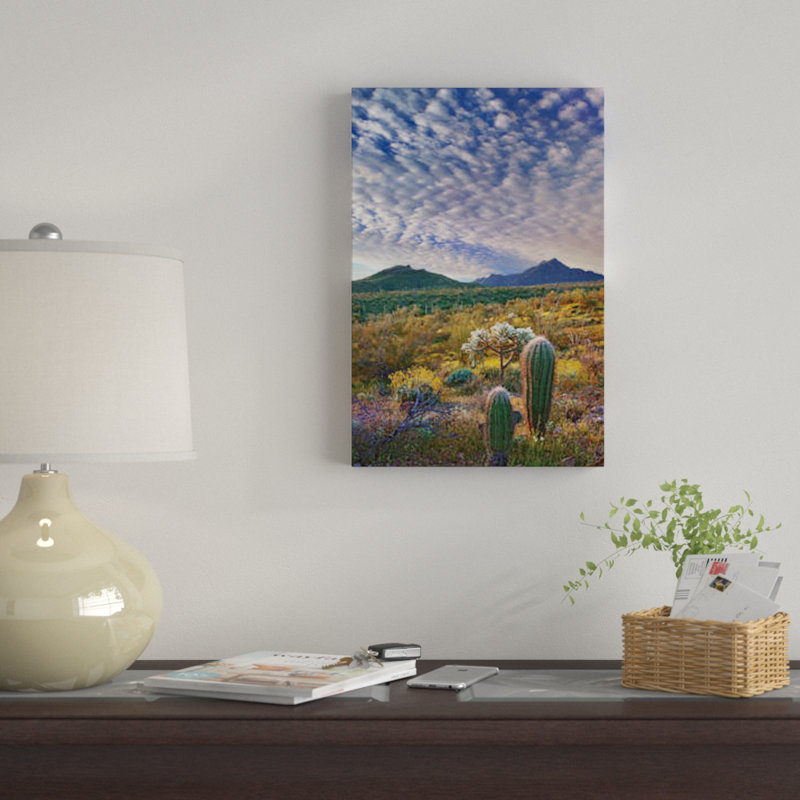 «Saguaro and Teddybear Cholla, Arizona Amid Flowering Lupin and California Brtlebush II», reproduction de photo sur toile