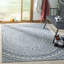 Erardo Hooked Indoor/ Outdoor Grey/Blue Area Rug-29713730