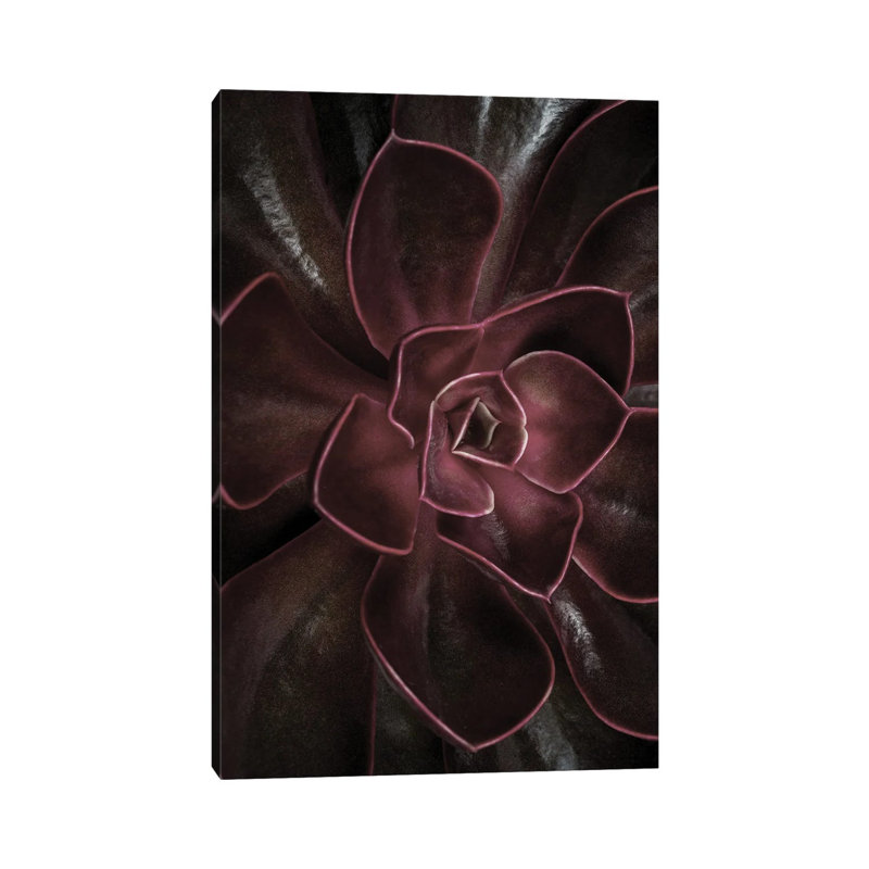 Secret XVI by Design Fabrikken - Wrapped Canvas Print, 20.32 cm H x 30.48 cm W
