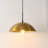 1 - Light Black Dome Pendant
