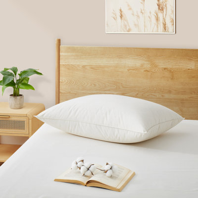 75% oreiller en duvet blanc (paquet simple)