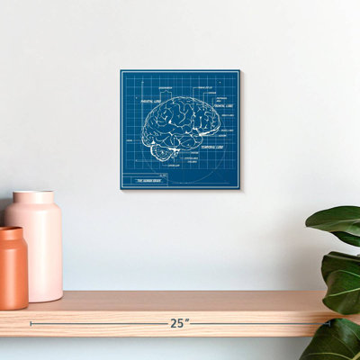 Keiri Human Brain Blueprint
