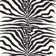 Jardin Zebra Fabric