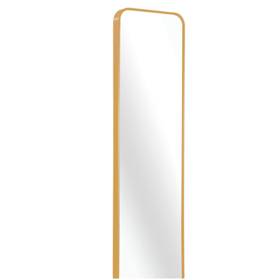 Miroir de porte 47 x 14 po. (W2203P182156)