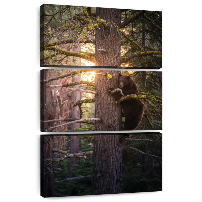 Ronce sur un arbre, H 32 po x l 20 po
