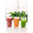 16 oz. Drinking Glass Set