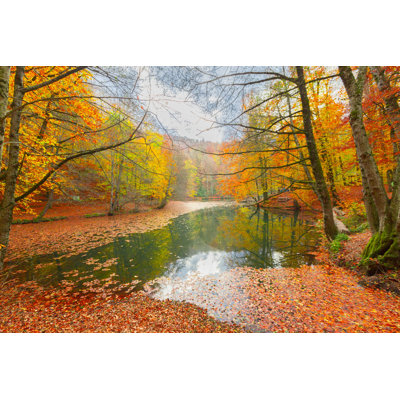 Parc national Yedigoller