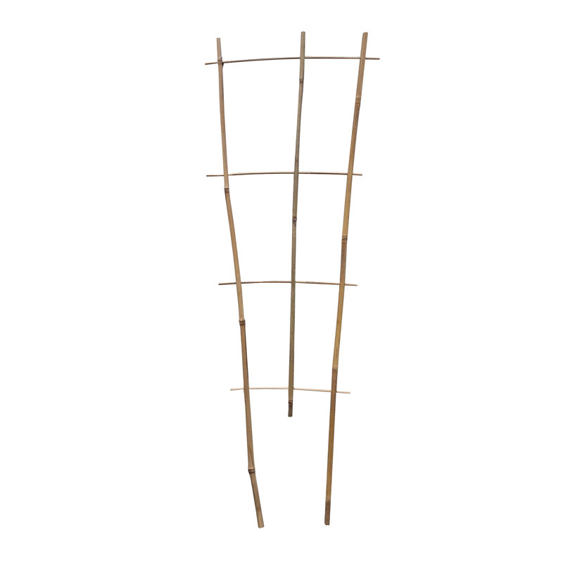 Wood Trellis, 36" H x 12" W x 0.25" D