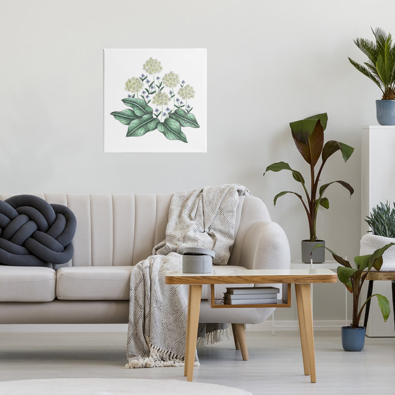 Hello Wildflower Vintage, croquis sur toile, conception par Cecilia Battaini, H 17 po x l 17 po