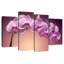 Orchidées Harnek Magenta-108906300