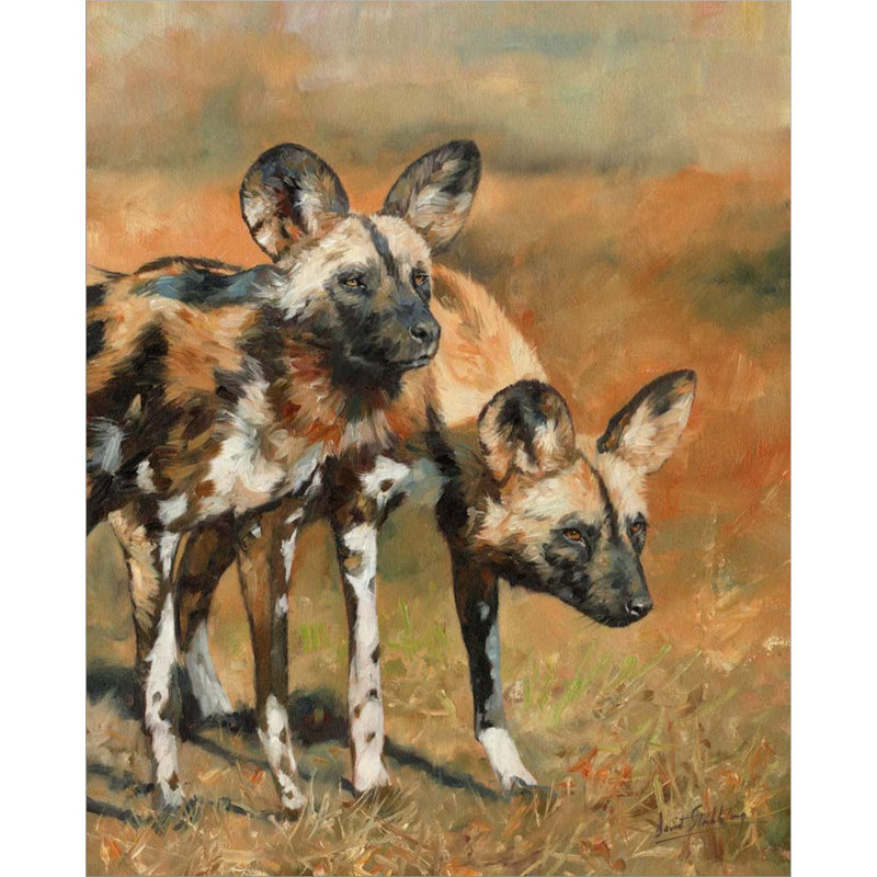 «African Wild Dogs» par David Stribble - peinture sur toile tendue