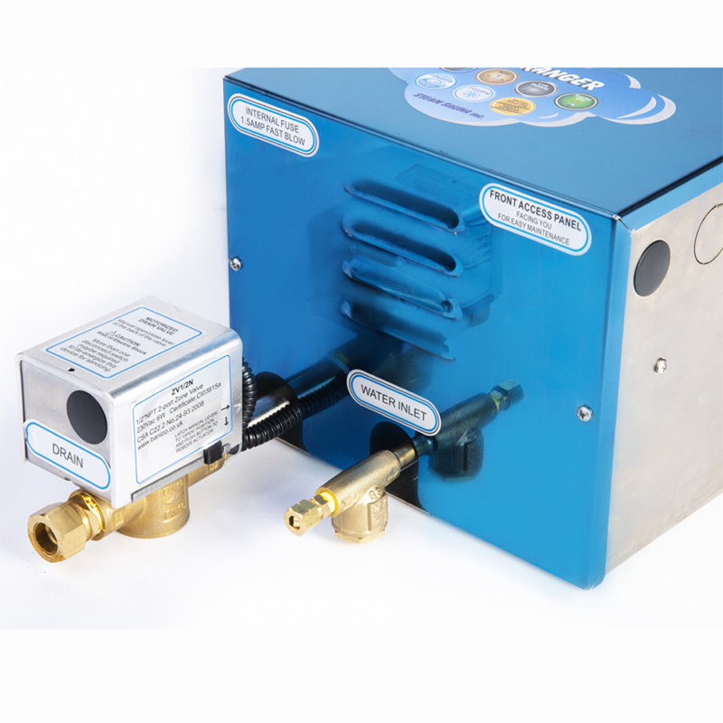 Ensemble de générateur de vapeur 15 kw résidentiel pour la vapeur cs15 cs series, Nickel brossé