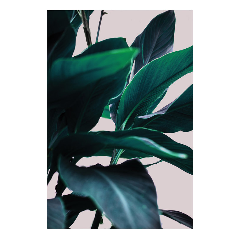 Leaves IV by Mareike BÃ¶hmer - Print on Canvas, 101.6 cm H x 66.04 cm W x 1.91 cm D, No Framed