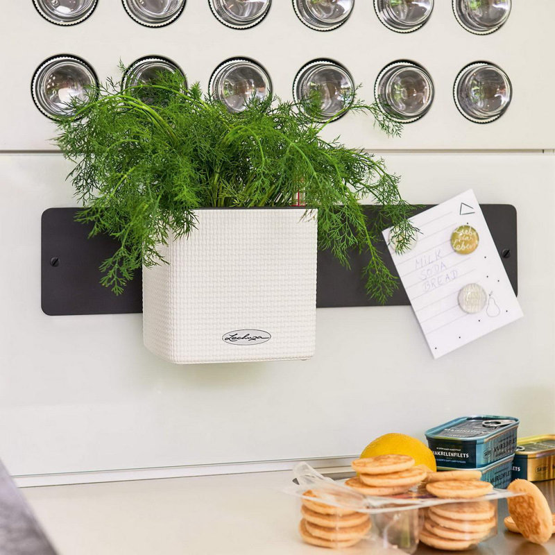 Wall Planter