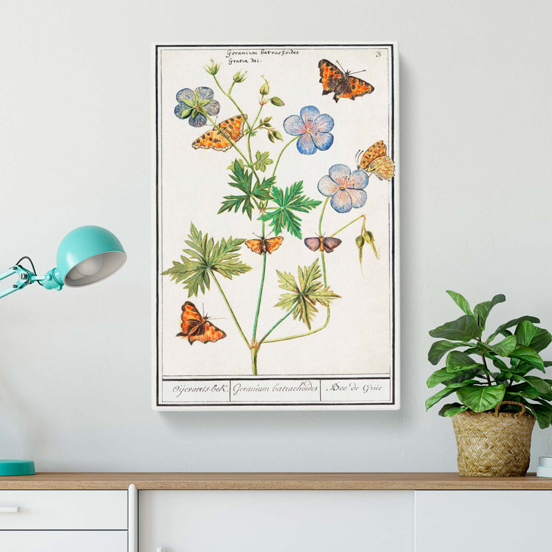 Butterflies & Pelargonium Flowers by A.B. De Boodt - Wrapped Canvas Painting, 76cm H x 50cm W x 3cm D