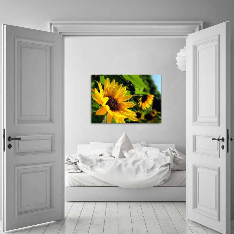 Sunflower - Canvas Photo Prints on Canvas, 100cm H x 150cm W x 4cm D