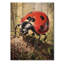 Curious Spotted Ladybug Forest I - Art mural moderne sur bois de pin naturel-877456667