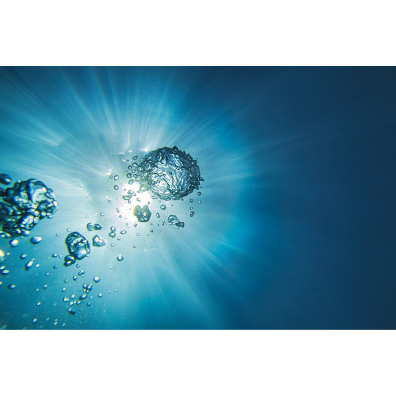Underwater Sea - Wrapped Canvas Print, 61cm H x 91cm W x 3.8cm D