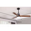 Binisha Ceiling Fan with LED Lights