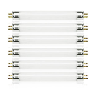 Ampoule à tube fluorescent F4T5 / D 6 pouces - lumière du jour 6500K - base G5 (paquet de 6)