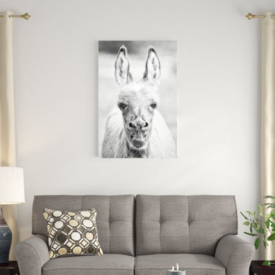 «Donkey Portrait IV» par Phburchett - Photographie sur toile tendue