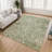 Machine Washable Indoor/Outdoor Chantille ACN2789 Floral Rug-1370093452-1370093459