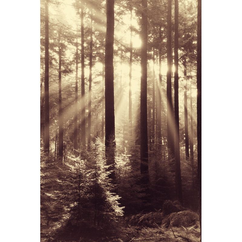 Fairytale forest 181894599, 91cm H x 61cm W