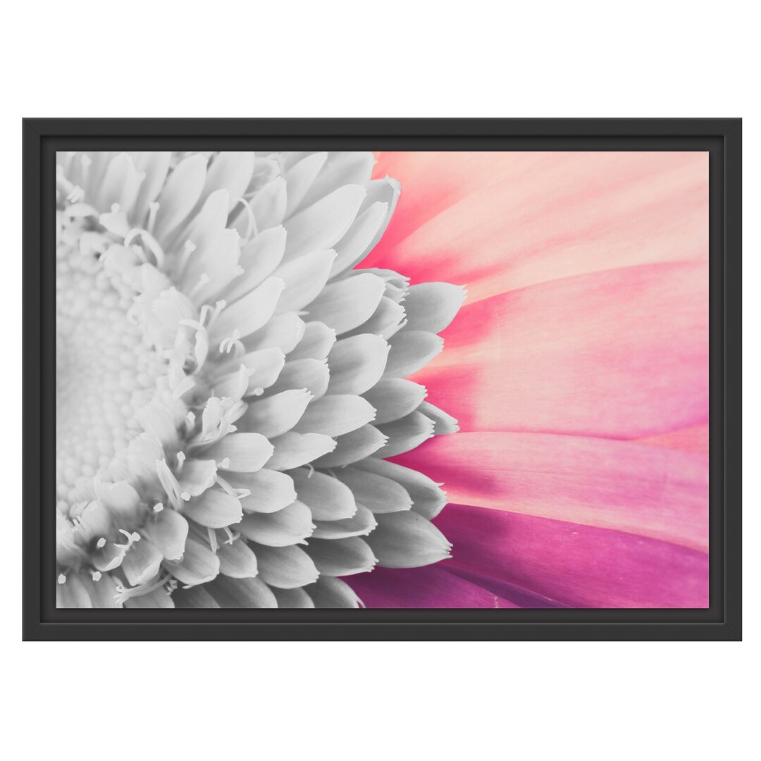 Gerahmtes Wandbild atemberaubende Gerbera Blüte