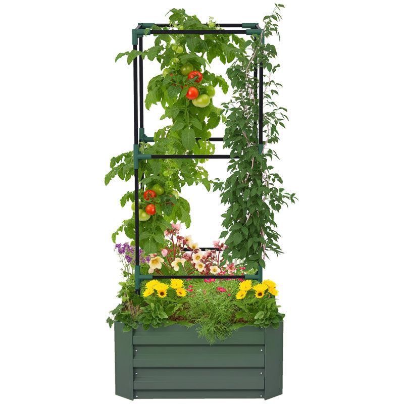Galvanized Raised Garden Bed with 3-Tier Trellis Tomato Cage Green, 55.1" H x 19.3" W, Green