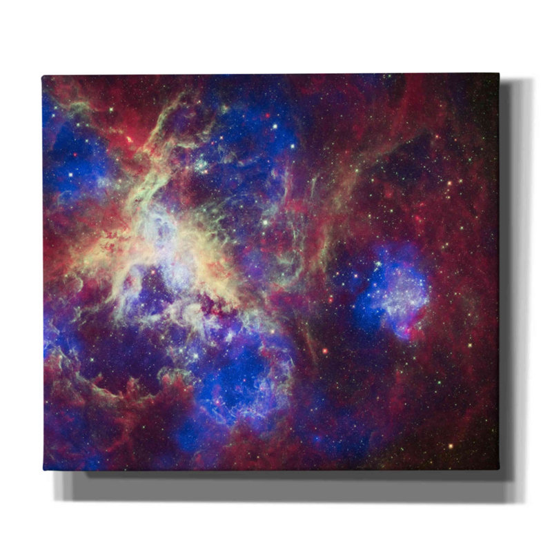 Tarentule nébuleuse - peinture sur toile tendue, H 26 po x l 30 po x P 0,75 po