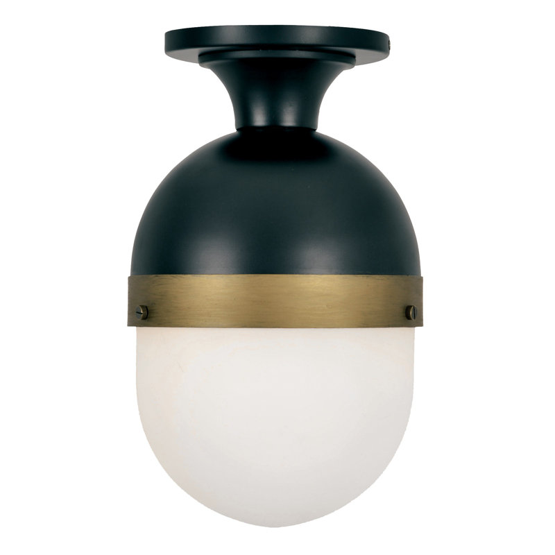 Capsule 1-Light Outdoor Semi Flush Mount