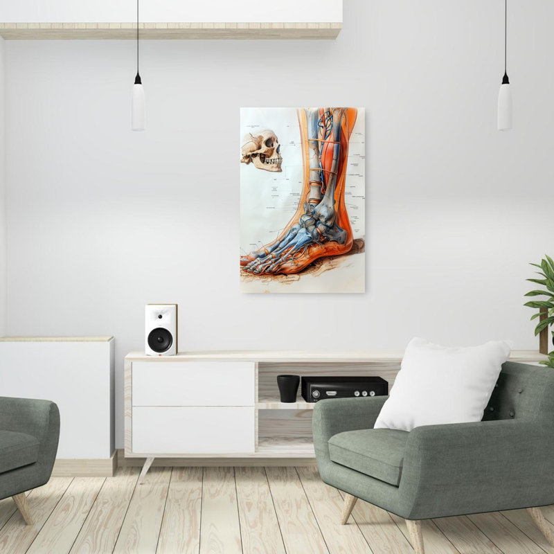 «Anatomical Leg and Skull», art mural rétro, H 36 po x l 24 po
