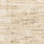 Étchings beige/brun à poils texturés avec ROW Christenson Abstract-1319464005