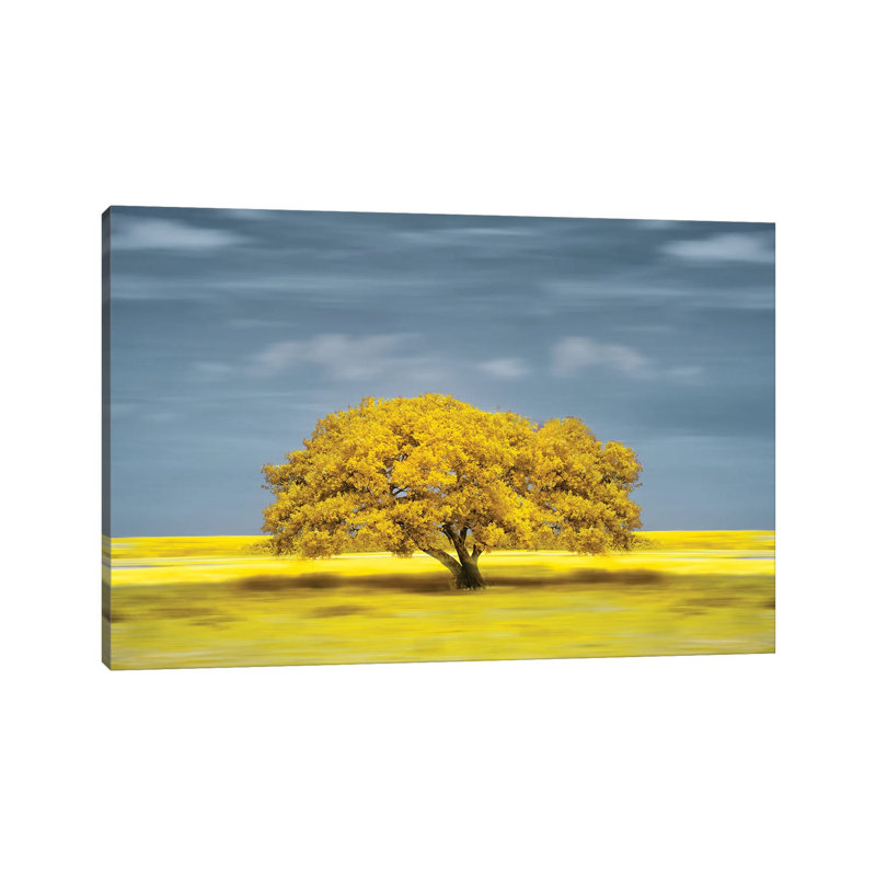 Lonely Yellow On The Field by Glauco Meneghelli - Wrapped Canvas Print, 66.04 cm H x 45.72 cm W x 1.91 cm D